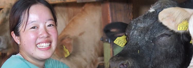 外国の農業を学びたい青年たちの為に海外農業研修はあります