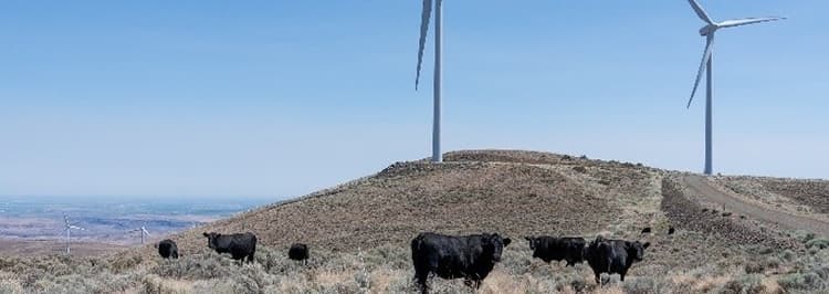 令和8年 海外農業研修オンライン説明会スタート！
